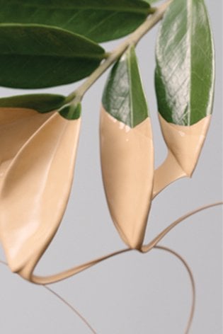 Green Edition - Illustrative picture of leaf