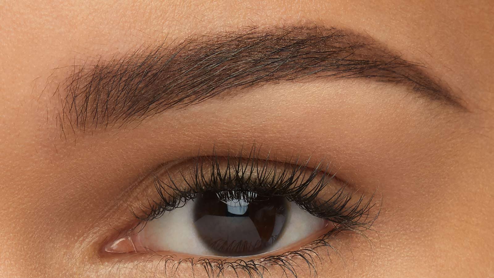 Express brow 2 in 1 pencil and powder makeup Maybelline Master